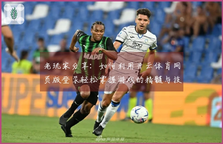 老玩家分享：如何利用开云体育网页版登录轻松掌握游戏的精髓与技巧